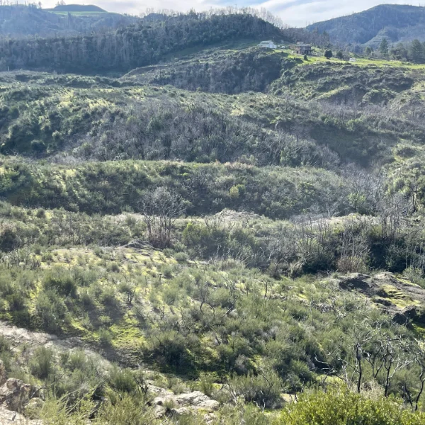 Rugged Hills