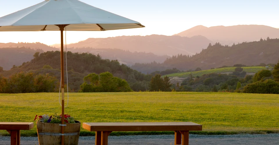 umbrella with mountains
